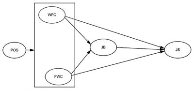 “Ideal employees” and “good wives and mothers”: Influence mechanism of bi-directional work–family conflict on job satisfaction of female university teachers in China